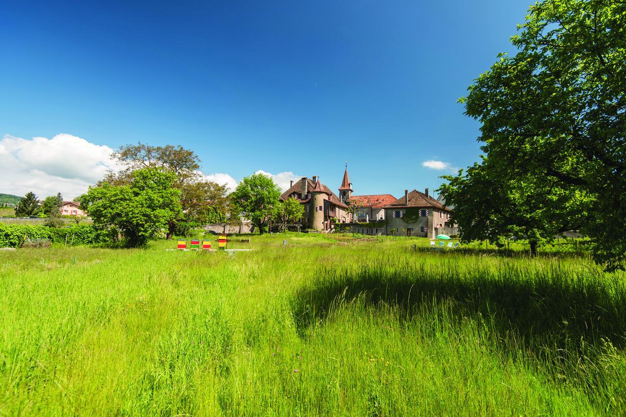 Chateau Rochefort Allaman Exterior photo